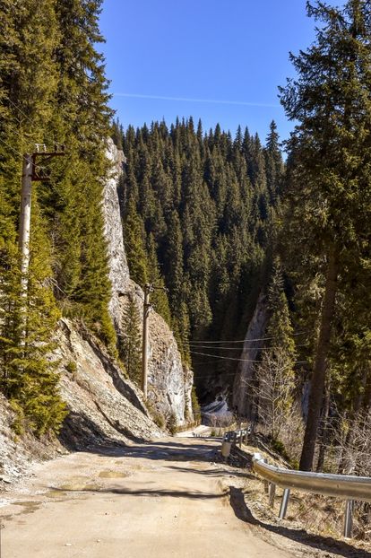 Cheile Tătarului - 08 - Sinaia - Dichiu - Bolboci - Cheile Tătarului - aprilie 2019