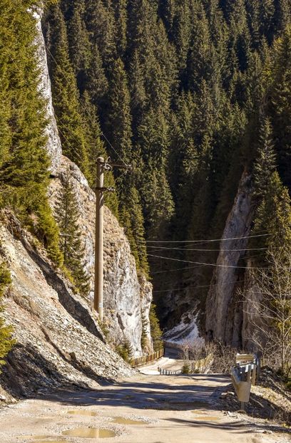  - 08 - Sinaia - Dichiu - Bolboci - Cheile Tătarului - aprilie 2019