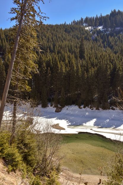  - 08 - Sinaia - Dichiu - Bolboci - Cheile Tătarului - aprilie 2019