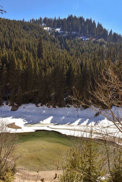  - 08 - Sinaia - Dichiu - Bolboci - Cheile Tătarului - aprilie 2019