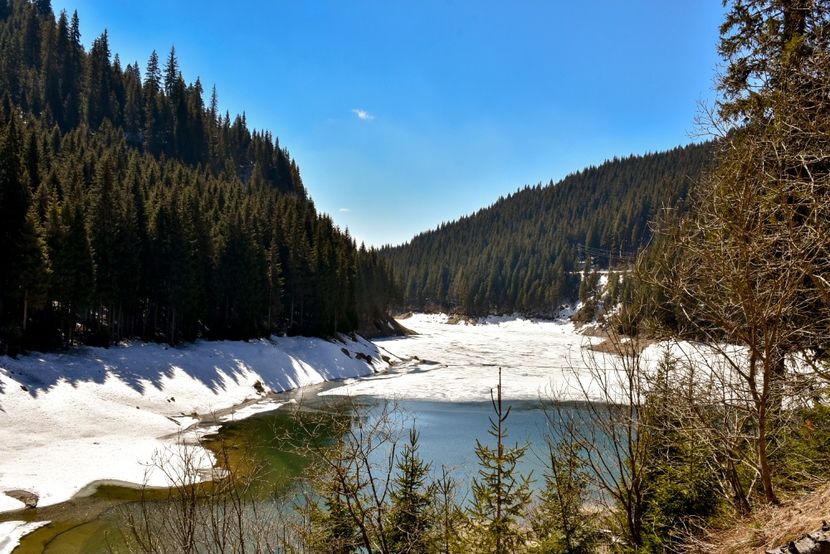  - 08 - Sinaia - Dichiu - Bolboci - Cheile Tătarului - aprilie 2019