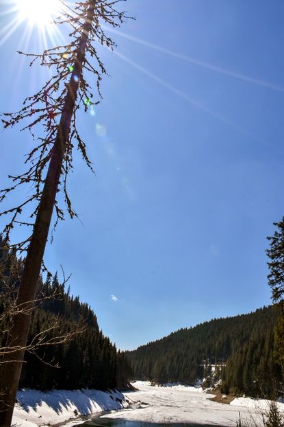  - 08 - Sinaia - Dichiu - Bolboci - Cheile Tătarului - aprilie 2019