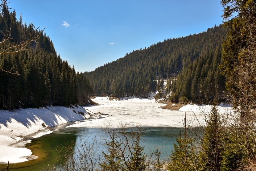  - 08 - Sinaia - Dichiu - Bolboci - Cheile Tătarului - aprilie 2019