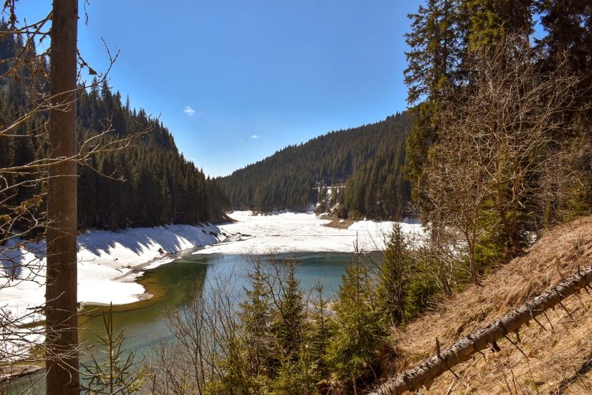  - 08 - Sinaia - Dichiu - Bolboci - Cheile Tătarului - aprilie 2019