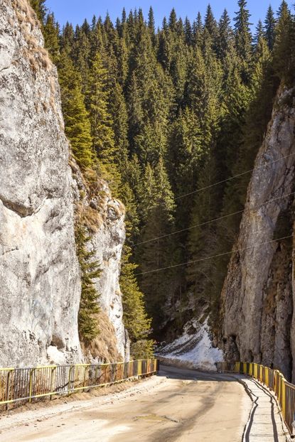  - 08 - Sinaia - Dichiu - Bolboci - Cheile Tătarului - aprilie 2019