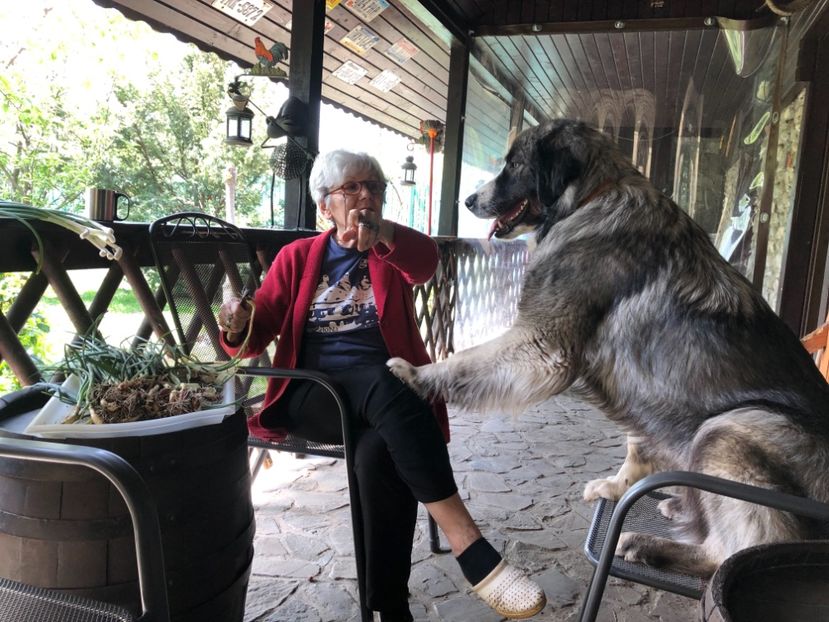 “Te spun mamei ca ai luat ceapa” - MARA DE CROITORU