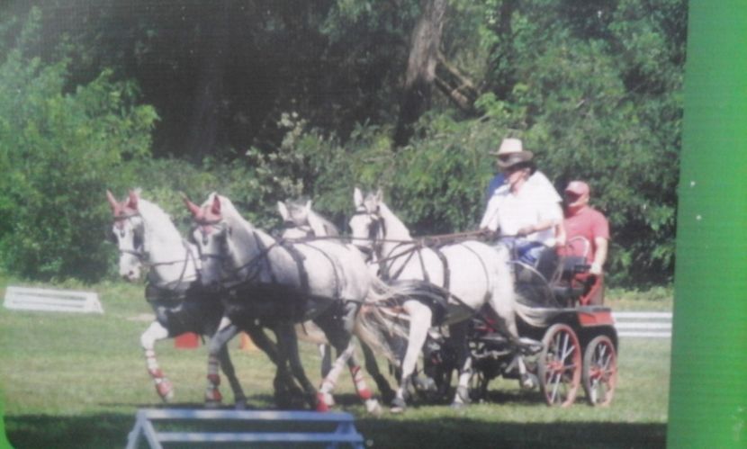  - 2018 Scoala Homorod Fagaras -Sambata de jos si sus