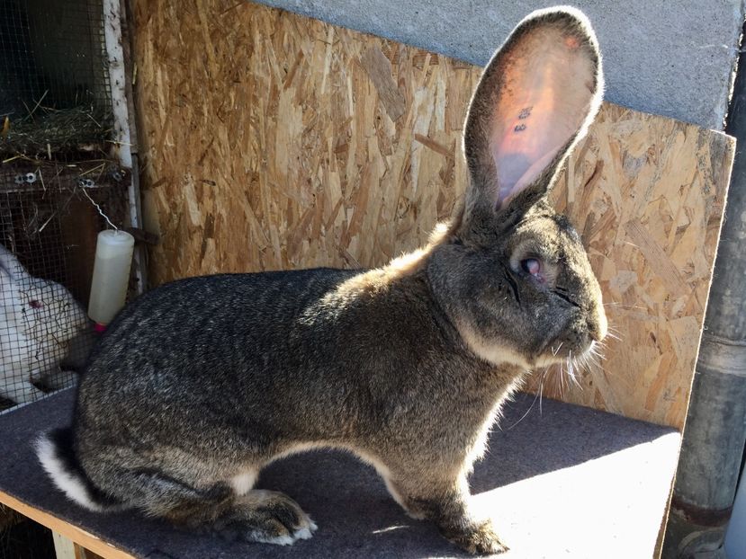 5C3A1F57-BBC6-4912-A39C-C994CB3A7B9C - RO8-28123