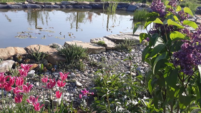  - Mini-iaz sau pur si simplu balta noastra