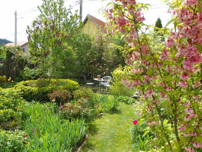 9 mai (27) - Gradina 2019