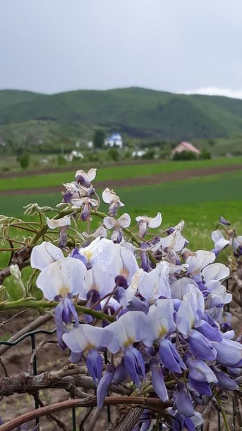  - Primavara 2019-2022