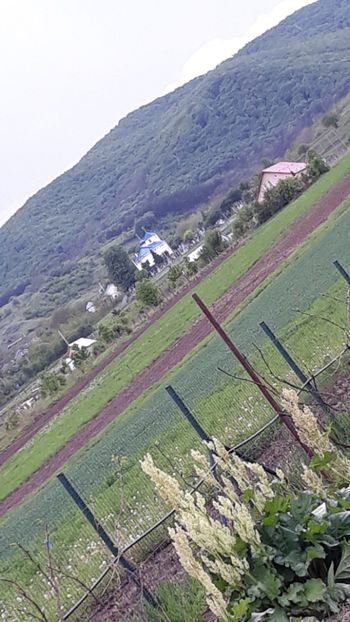  - Primavara 2019-2022