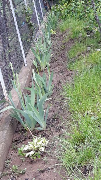  - Primavara 2019-2022