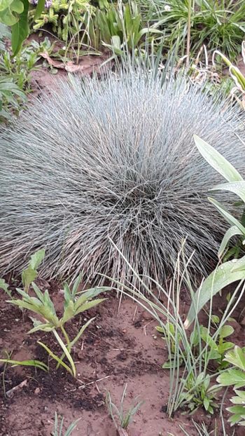  - Primavara 2019-2022