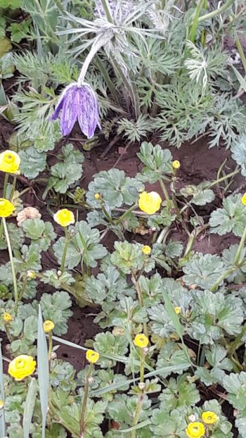  - Primavara 2019-2022