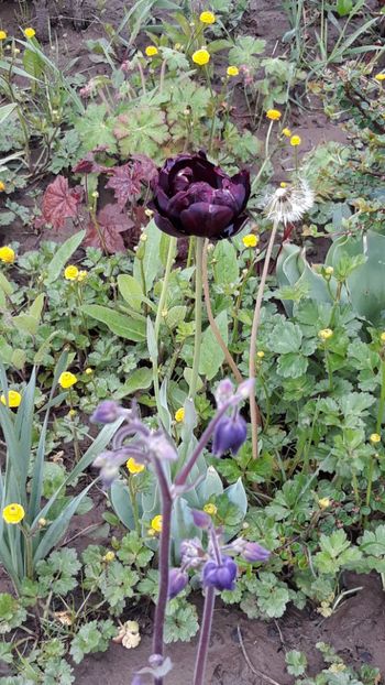  - Primavara 2019-2022