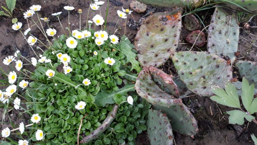  - Primavara 2019-2022