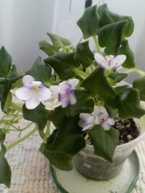 27 apr - Rob s Humpty Doo