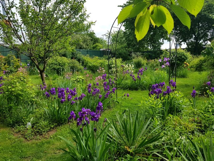  - 2019 Mai Idilic Garden
