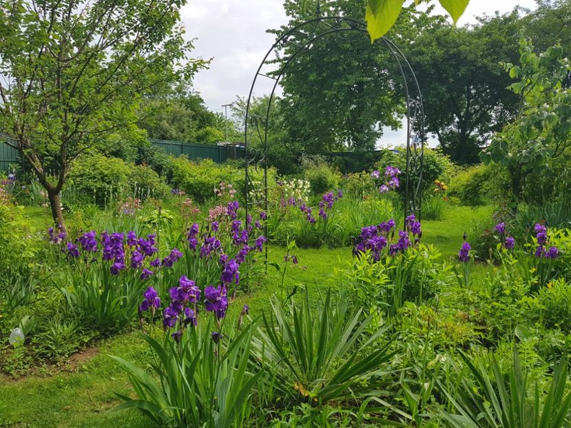  - 2019 Mai Idilic Garden