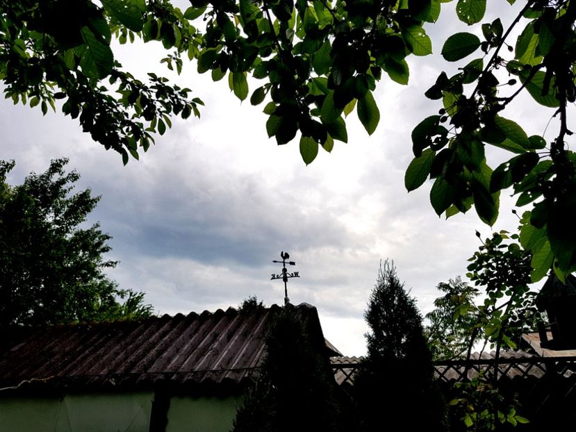  - 2019 Gradina Pridvor
