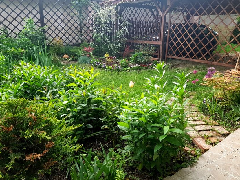  - 2019 Gradina Pridvor