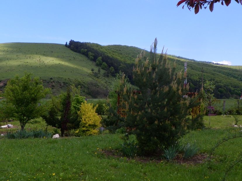 12 mai (110) - Dobarland 2019 2