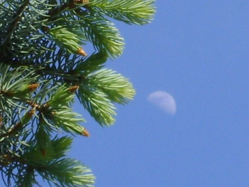 Primul patrar al Lunii in Fecioara - Luna - Soarele si norii - 1