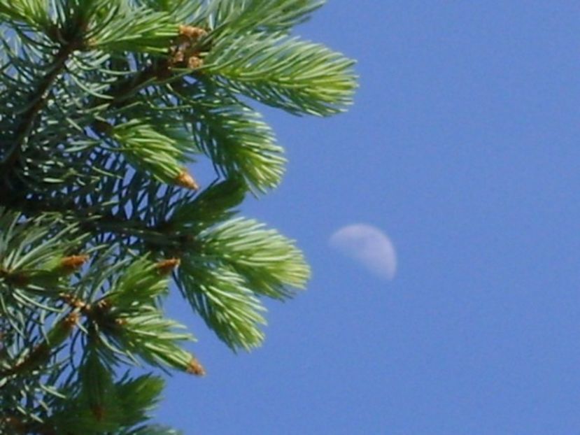 Primul patrar al Lunii in Fecioara - Luna - Soarele si norii - 1