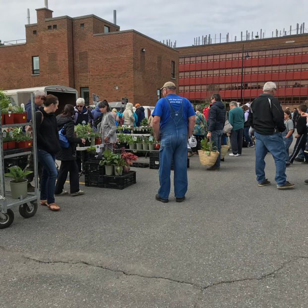  - Ottawa_ON_Canada 2019