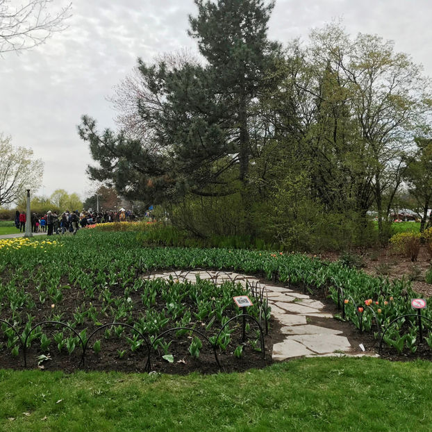  - Canadian Tulip Festival