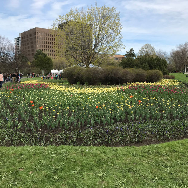  - Canadian Tulip Festival