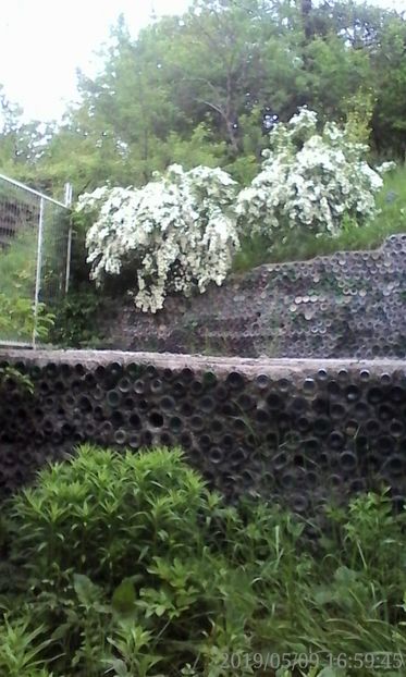  - 2019 mai 11-12 Grădina