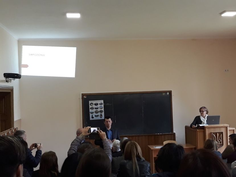  - cernauti 2019
