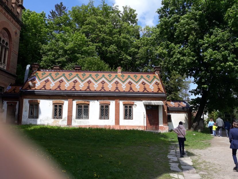  - cernauti 2019