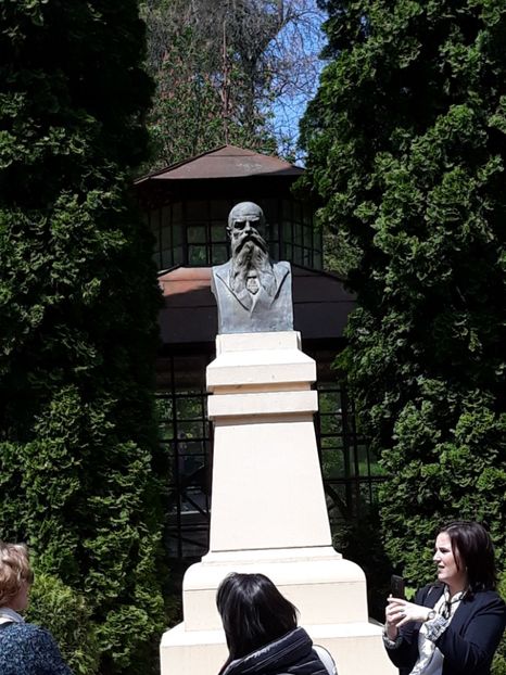  - cernauti 2019