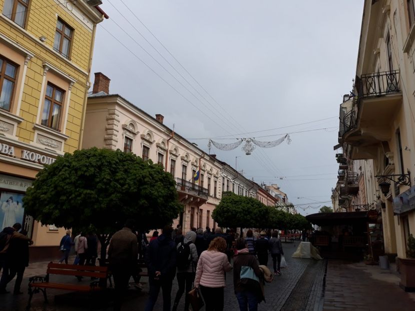  - cernauti 2019
