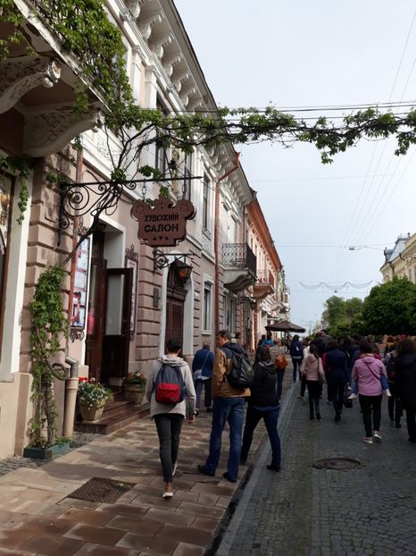  - cernauti 2019