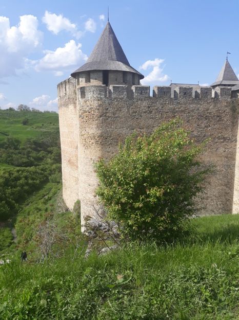  - cernauti 2019