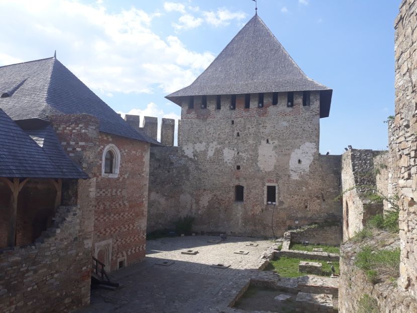  - cernauti 2019
