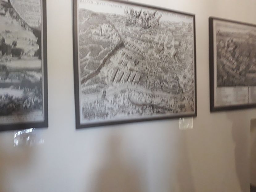  - cernauti 2019