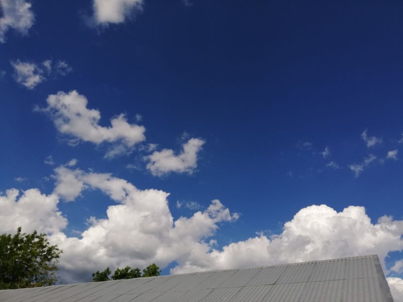  - 0-2019 - De prin curte