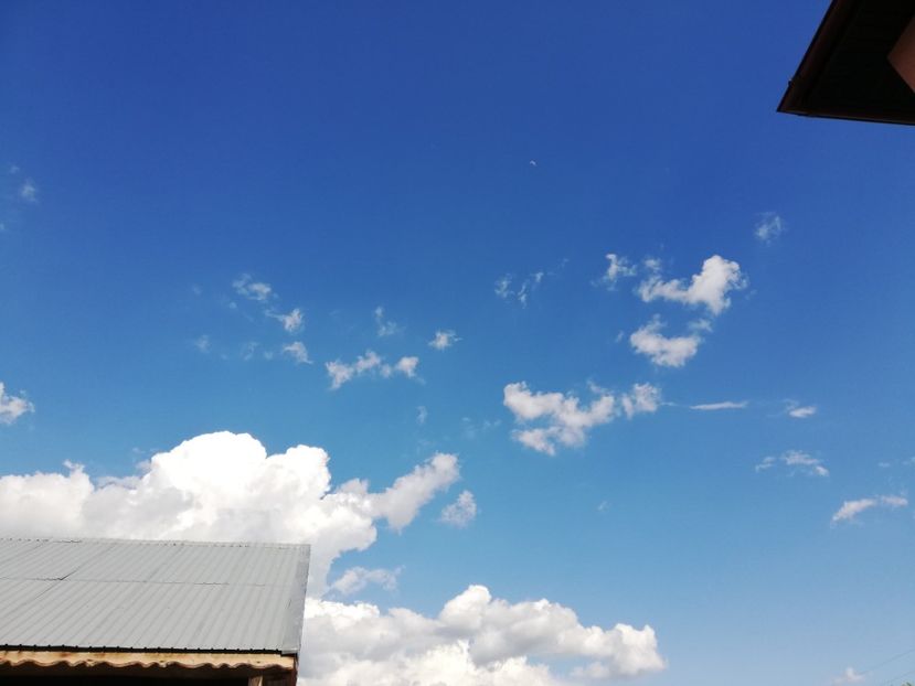  - 0-2019 - De prin curte