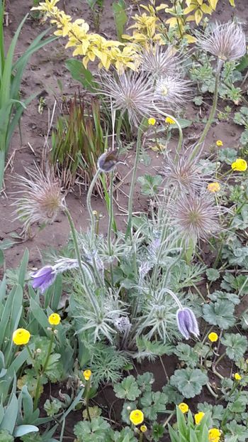  - Primavara 2019-2022