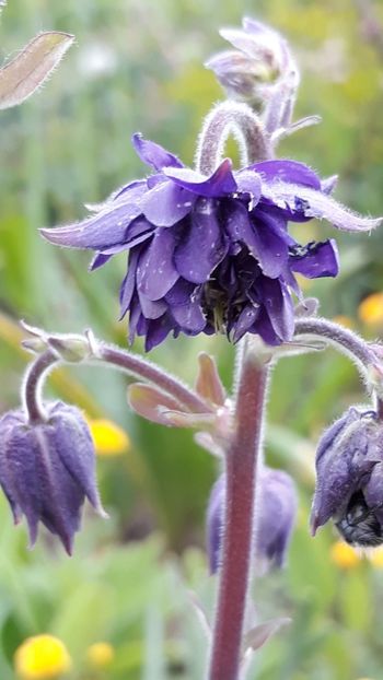  - Primavara 2019-2022