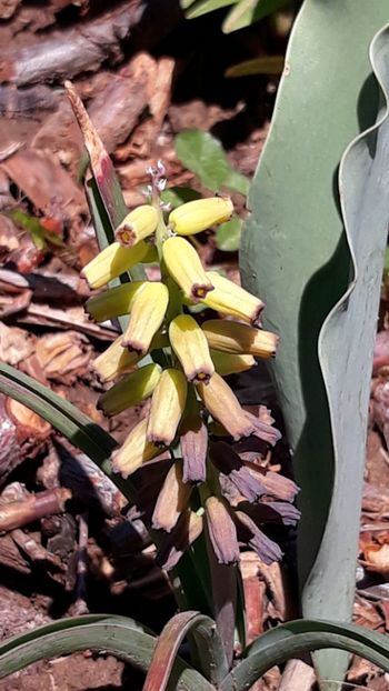  - Primavara 2019-2022