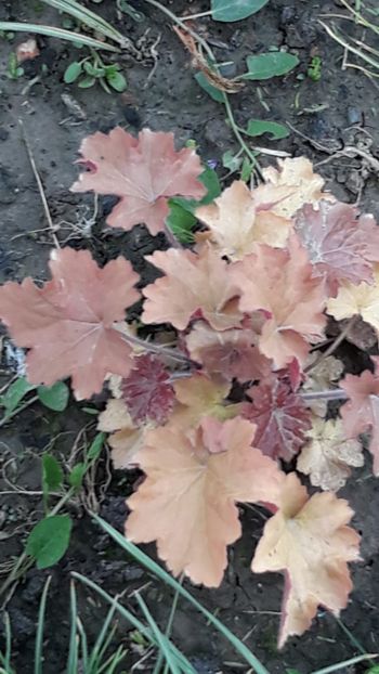 Gabiuta - Vânzători seriosi pe sunphoto