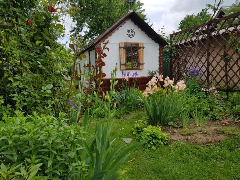  - 2019 Oglinzi in gradina