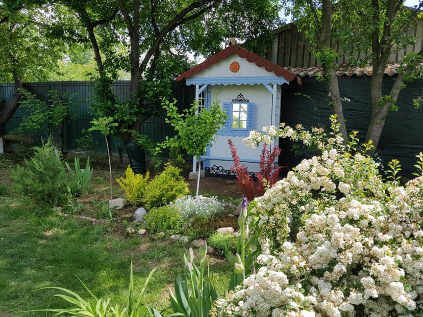 - 2019 Oglinzi in gradina