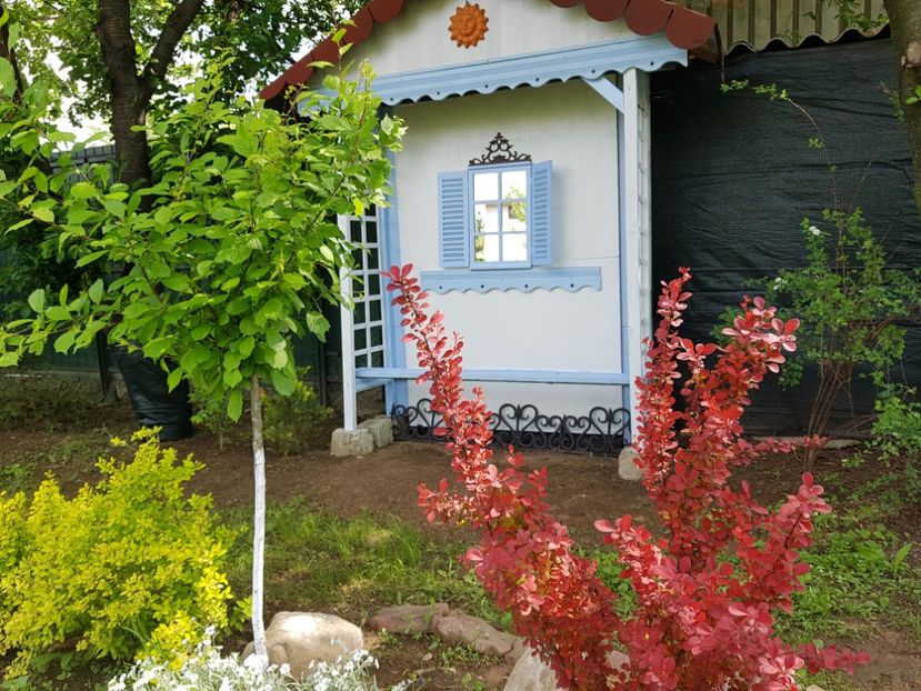  - 2019 Oglinzi in gradina